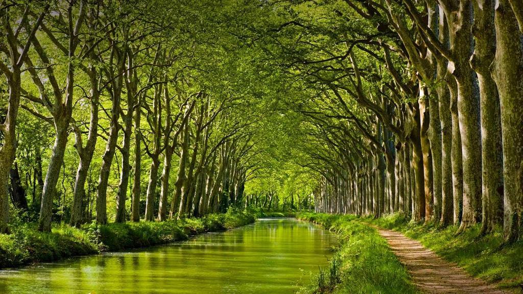טולוז Gite La Chartreuse Du Canal Du Midi מראה חיצוני תמונה